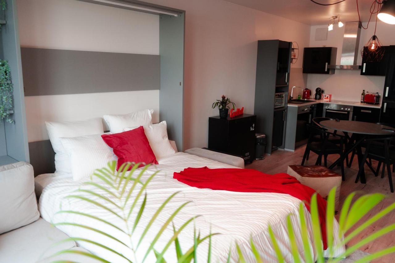 Industrial Apartment In Belval The University City 阿尔泽特河畔埃施 外观 照片